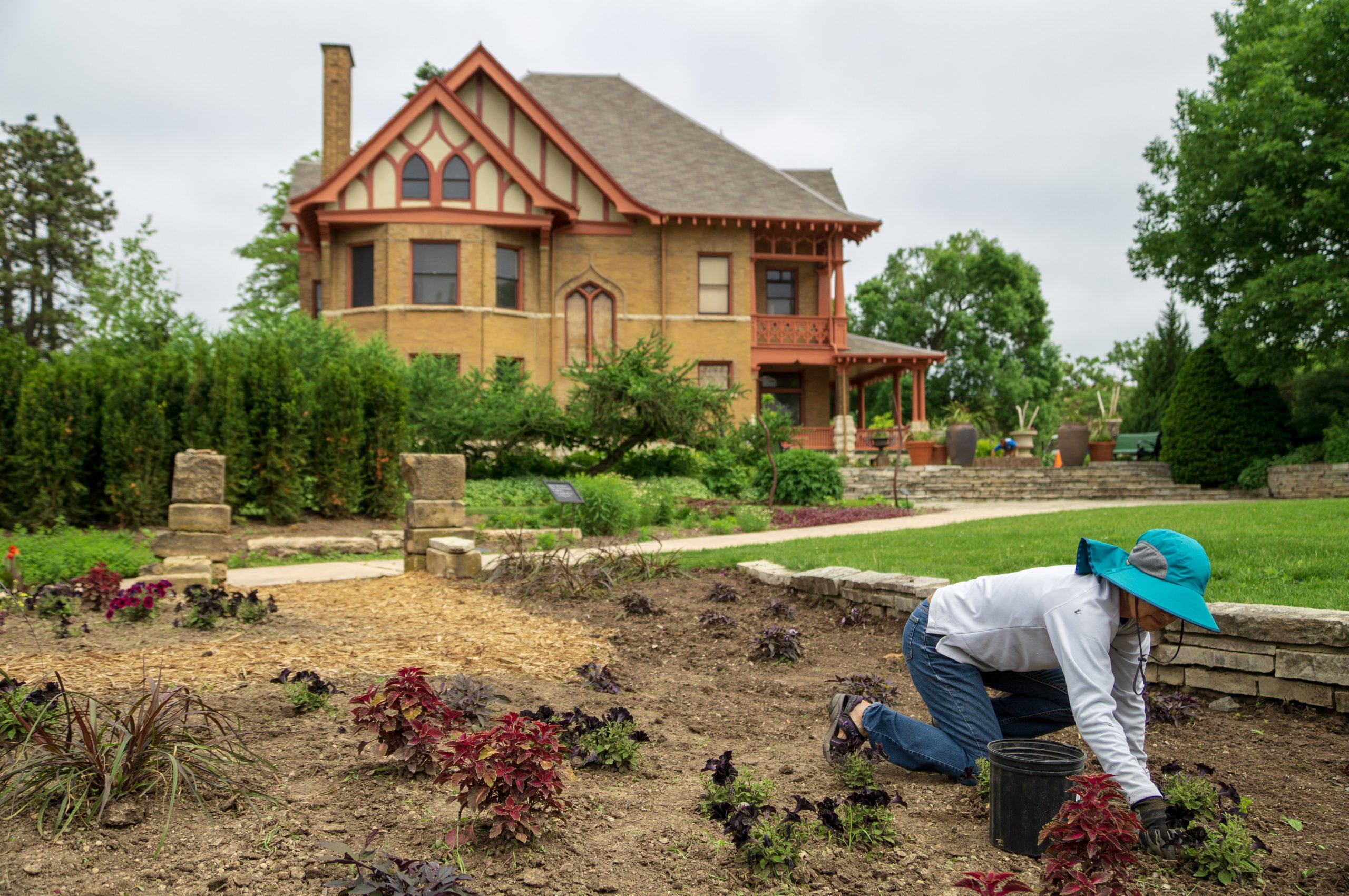 Volunteer tending to flowers