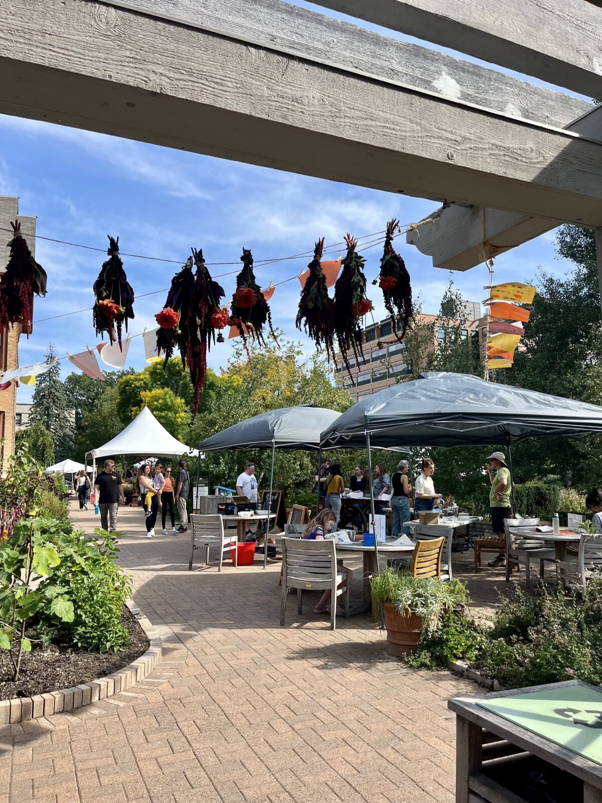 Plants hanging from a line with tents and people strolling behind.