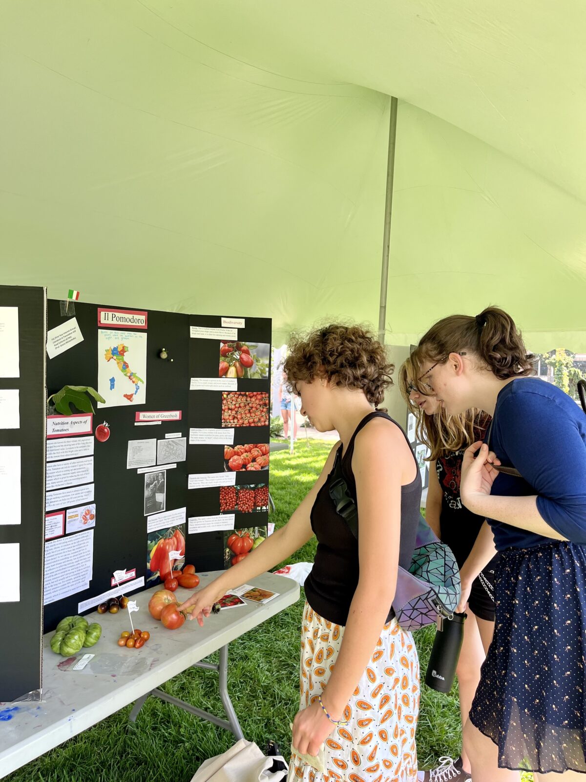 College students looking at a poster board about tomatoes