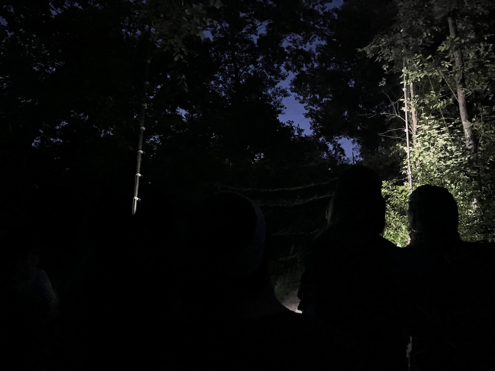 Dark image of a large bat net strung between two posts highlighted by a flashlight