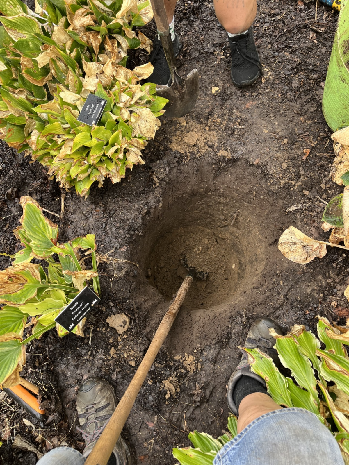 The hole for the base of the posts, around two feet in diameter and one foot deep at this stage.